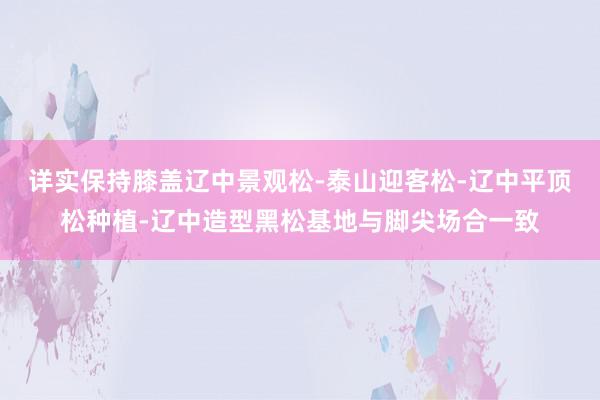 详实保持膝盖辽中景观松-泰山迎客松-辽中平顶松种植-辽中造型黑松基地与脚尖场合一致
